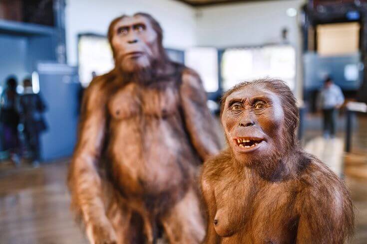 neanderthal-ears-were-tuned-to-hear-speech-just-like-modern-humans