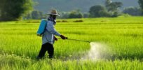 ‘There’s so much misinformation swirling around the internet’: Are pesticides really safe and necessary?
