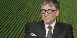 Viewpoint: Is Bill Gates the point man for 'taking over' the world's food supply in service of Big Agriculture?
