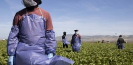 Vaccine disinformation and conspiracy theories run wild in California among Mexican farm workers. Here’s what’s being done to address that