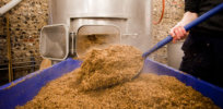 Beer and sustainable farming: How brewing waste can disinfect soil and increase yields