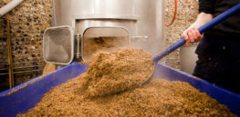 Beer and sustainable farming: How brewing waste can disinfect soil and increase yields