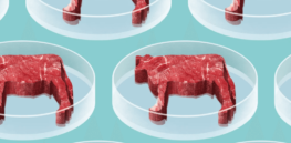 Everything you need to know about lab-created, climate-friendly cultivated meat