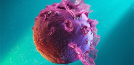 Epstein-Barr virus link? Tantalizing clues suggest EBV potentially triggers COVID long-haul symptoms