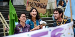 Activists and 'celebrity figures' are turning public opinion against crop biotechnology in Mexico