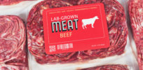 Lab-grown meat promises to cut water and land use by more than 96%. Why are US regulators dragging their feet in approving this ‘sustainable innovation’?