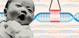 WHO restates opposition to gene-editing live human embryos but endorses other forms of genome modification