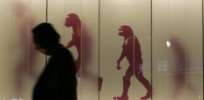 Why the famous ‘march of human evolution’ illustration is so misleading