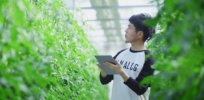 ‘Digital agriculture has the power to be truly disruptive’: How AI and robotics are helping Japan overcome land challenges and dramatically increase farm yields