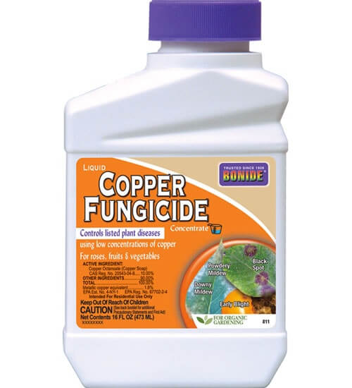 liquid copper concentrate