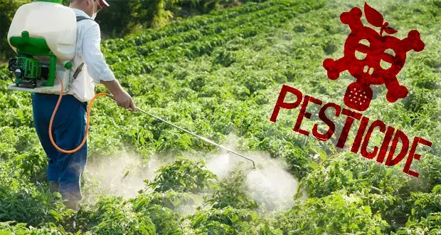 pesticide danger cancer