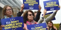 Viewpoint: ‘Glyphosate is socially dead’ — While every major government regulator in the world finds the herbicide safe, politicians have caved to activists, and farmers are the victims