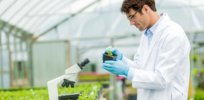 ‘US has inadequate regulatory oversight to address concerns presented by agricultural biotechnology’: US NGOs issue transparency principles and governance recommendations