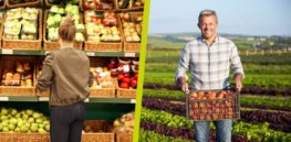 The debate over sustainable food systems needs a new ecosystem