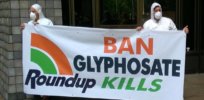 ‘War on glyphosate’ and the unintended negative environmental consequences of the demonization of a safe and effective herbicide and its removal from the garden market