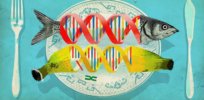 Western consumers have generally positive attitudes toward gene-edited foods, two new studies find