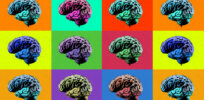 Beyond neurodiversity: The dangers of ‘reducing diversity to brain-based distinctions’