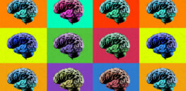 Beyond neurodiversity: The dangers of ‘reducing diversity to brain-based distinctions’