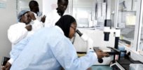 Biotechnology research and development is the cutting edge of Africa’s hoped-for sustainable green revolution