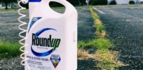 Viewpoint: Politics — not science — driving Canadian policy decisions over glyphosate and other agricultural tools