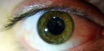 ‘Eyes are a window to the brain?’ Pupil size emerges as a marker of intelligence