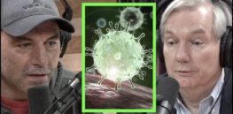 Why Joe Rogan is wrong about COVID mutations: 'Evolution is, right now, occurring in the body of people who are not vaccinated'