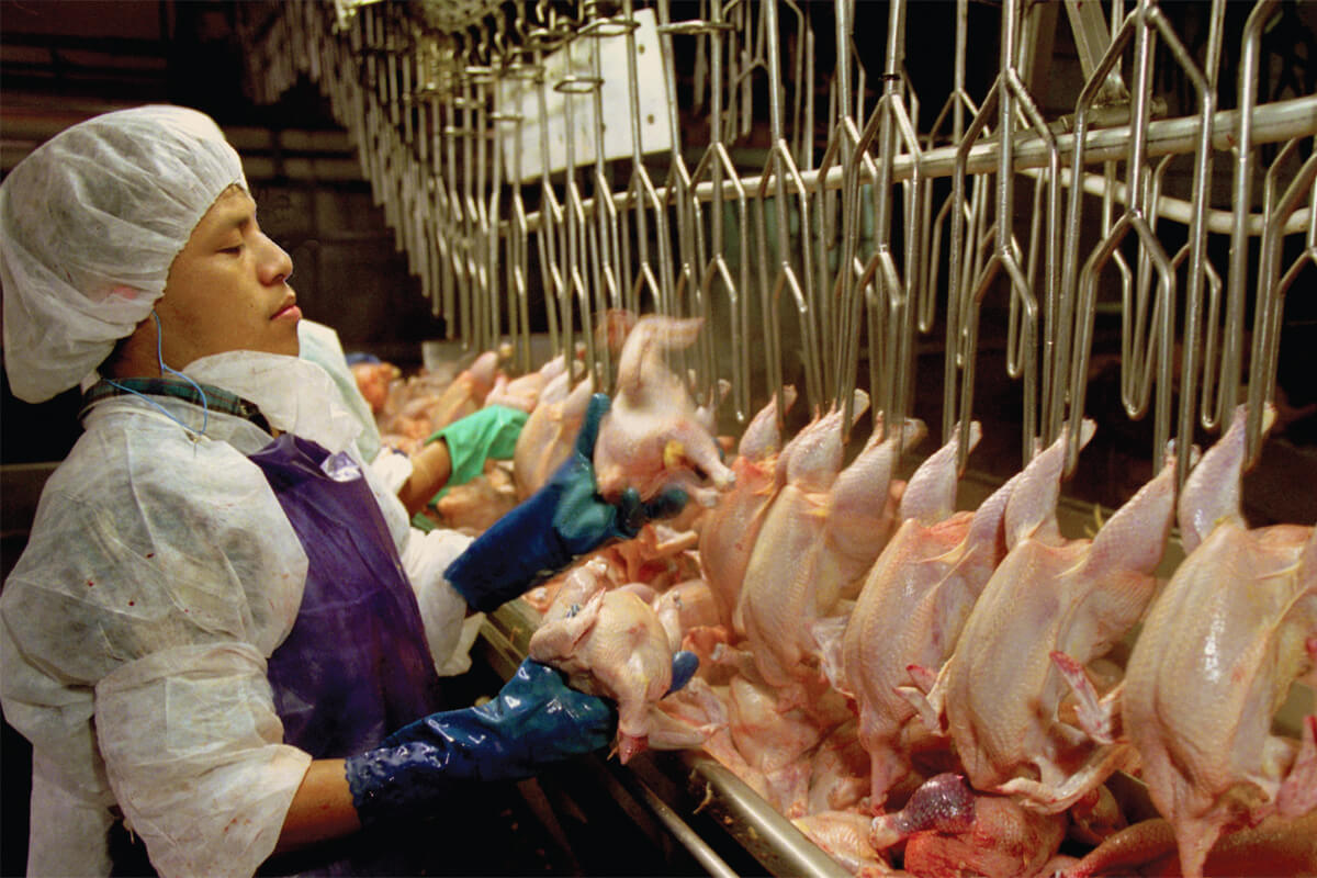 Transitioning to a meatless, plant-based future is a win for the ...