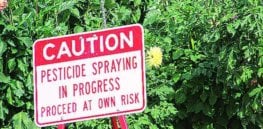 Video: Are pesticides harmful or bad for biodiversity? Challenging 5 widely-held myths