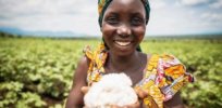 How genetically modified seeds are revitalizing the Kenyan cotton market