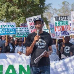 nnimmo bassey protest against gmo