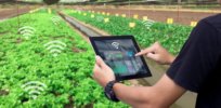 Farms of the future: Precision growing, smart robotics and AI usher in new era of agriculture