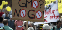 As Switzerland faces decision whether to renew its ban on genetically modified crops, consumer resistance shows signs of fading
