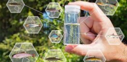 How monitoring environmental DNA (eDNA) can help us conserve forests, rivers and other ecosystems