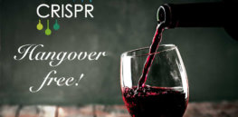 From hangover-free wine to naturally spicy tomatoes, here’s how CRISPR gene editing promises to revolutionize food