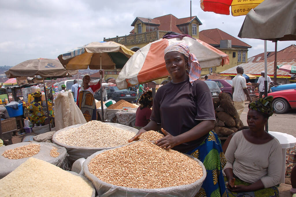 Part 1: Addressing food security in Nigeria — Seeds of hope for subsistence farmers as insect resistant GM cowpeas finally come to market