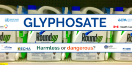 Infographic: Does consuming micro-traces of glyphosate (aka Roundup) in our food cause cancer? All 20 global regulatory and chemical oversight agencies say 'no', while anti-biotech activists spin the data