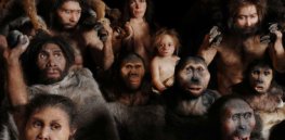 ‘It has never been a given that humans would survive on Earth’: Reflections on the nonlinear tangled web of human evolution