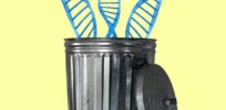 ‘Junk DNA’: The 98% of the human genome that does not encode proteins is often called useless — but the reality is more complicated
