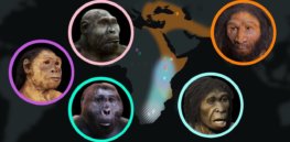 Mongrel humans: Evolution has forged genetically diverse and overlapping populations