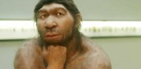Dimwitted Neanderthals? Pioneering research challenges ‘outdated’ assumptions about our ancestors