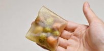 Biologically-modified seaweed could be an ideal eco-friendly plastic packaging alternative