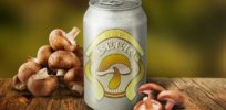 Repurposed mushrooms could make an animal-free, vegan beer — all while using up food waste