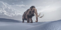 Viewpoint: ‘Mammoth debacle’ — The not-so-encouraging backstory to George Church’s $15 million start-up hoping to resurrect the extinct wooly mammoth