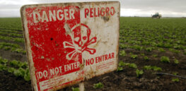 Risk vs. hazard: Current regulatory structures rely on outdated and flawed Precautionary Principle to assess potential dangers of chemicals