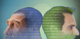 Ancient DNA confirms our African roots — and reveals how Neanderthals, Denisovans and humans ‘continually mixed’
