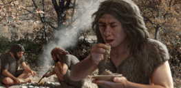 What did ancient humans eat?