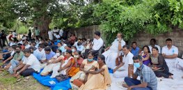 Demanding access to chemical fertilizers, Sri Lankan farmers go on hunger strike