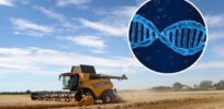 Viewpoint: ‘We must side with the EU even when it is wrong rather than England if it is right’?— Scotland resists England’s embrace of gene editing to promote food security
