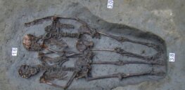 How should scientists handle DNA extracted from ancient sites? Researchers have now crafted guidelines