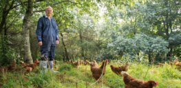 Viewpoint: ‘The definition of agroecology has become lost in translation’